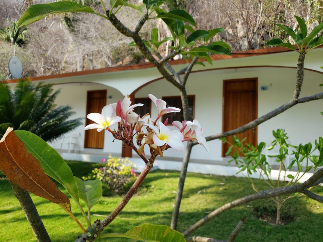 Hotel Y Club Campestre Altos Paraiso Puerto Escondido  Exterior foto